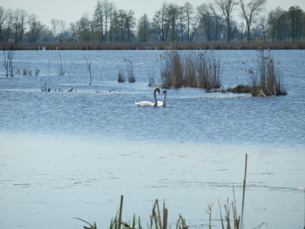 Baltisches Haus Moll Ostseebad Zinnowitz